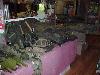 Army surplus