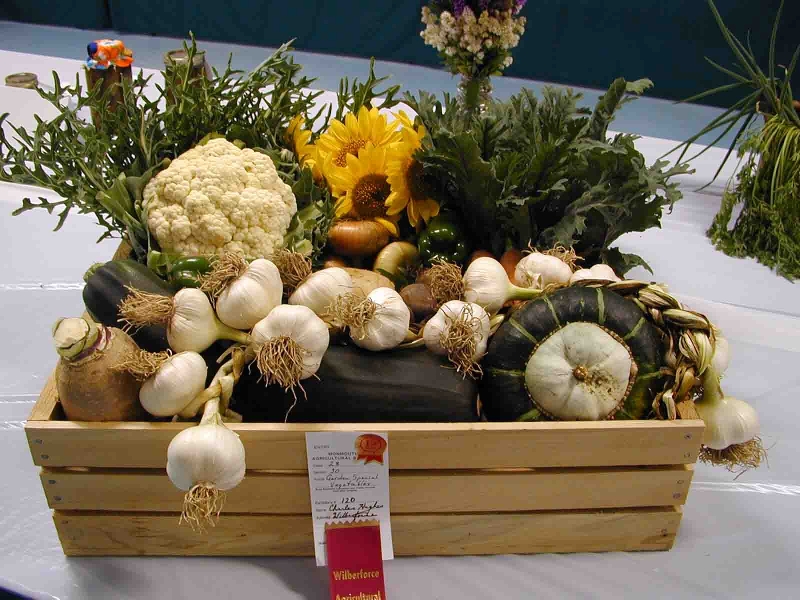 Display of vegies in homecraft competition Display of vegies in homecraft competition