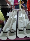 Exciting minnow races Exciting minnow races