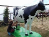 Learn where milk comes from with Milky the Cow Learn where milk comes from with Milky the Cow