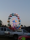 The Midway