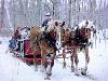 Maple Taffy on Snow weekends