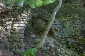 Fishers Mill Ruins (Gore Mills) John Fisher bought the Gore Mill in Dundas in 1863 and used it to make newsprint, carpet, felt and paper. It operated until 1929 when it was torn down. Fishers Mill Ruins (Gore Mills) John Fisher bought the Gore Mill in Dundas in 1863 and used it to make newsprint, carpet, felt and paper. It operated until 1929 when it was torn down.