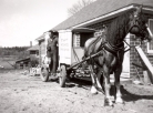 Anyone for a dairy delivery? Walling’s Dairy was a local fixture in Haliburton for decades. This pic shows Stephen Walling, who worked alongside his brother, Lester, and father, Samuel. His grandfather, Reuben, first came to the area to farm in the 1870s. (Haliburton Museum) Anyone for a dairy delivery? Walling’s Dairy was a local fixture in Haliburton for decades. This pic shows Stephen Walling, who worked alongside his brother, Lester, and father, Samuel. His grandfather, Reuben, first came to the area to farm in the 1870s. (Haliburton Museum)