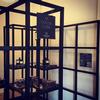 The Cocoa Cube