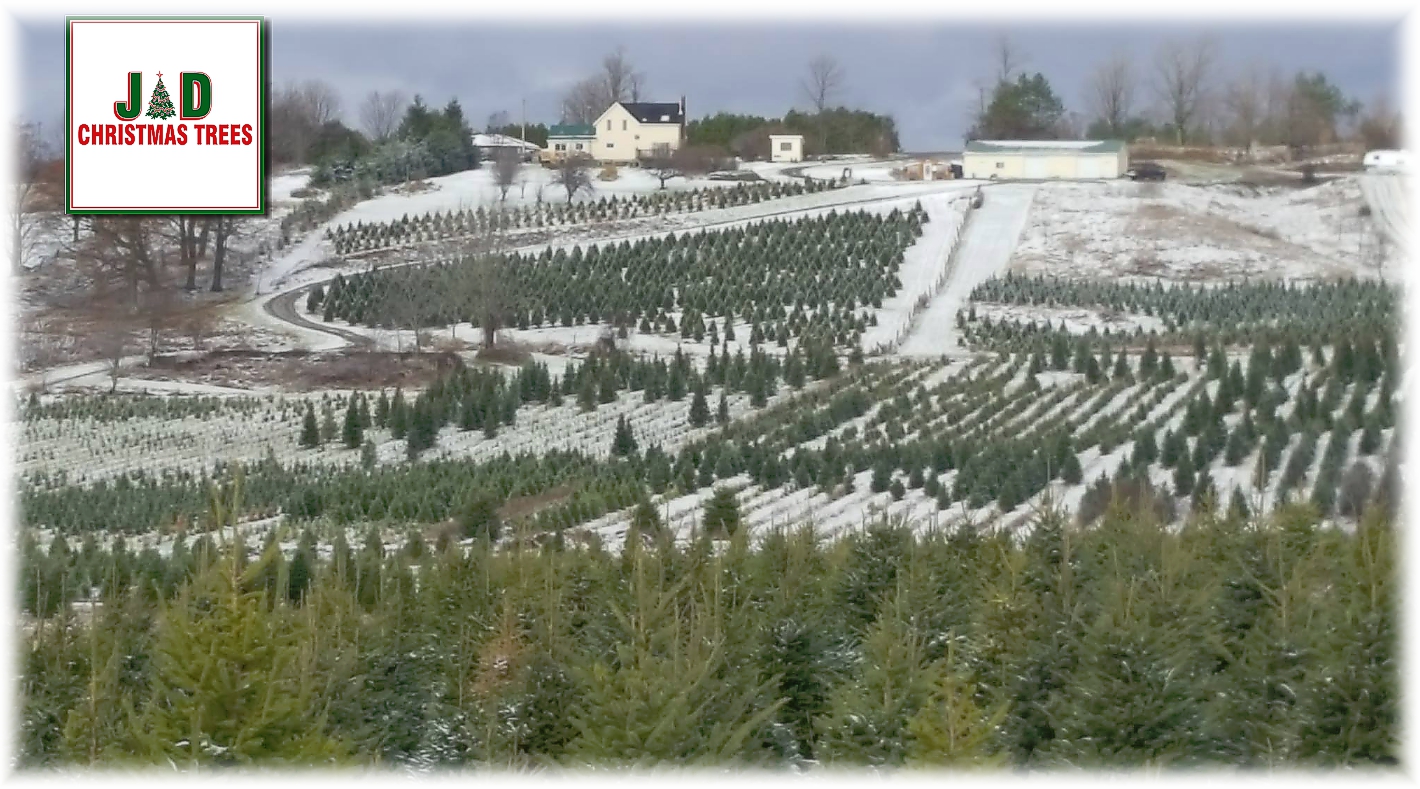 After 22 great years I have decided to take on a new direction. I am pleased to announce that the family traditions will carry on. New Owners Michelle and Keith Carroll will be continuing on with my great pleasure the Christmas Tree Farm. I will be staying on this season and look forward to seeing you all and your families. Thanks Don Carman After 22 great years I have decided to take on a new direction. I am pleased to announce that the family traditions will carry on. New Owners Michelle and Keith Carroll will be continuing on with my great pleasure the Christmas Tree Farm. I will be staying on this season and look forward to seeing you all and your families. Thanks Don Carman